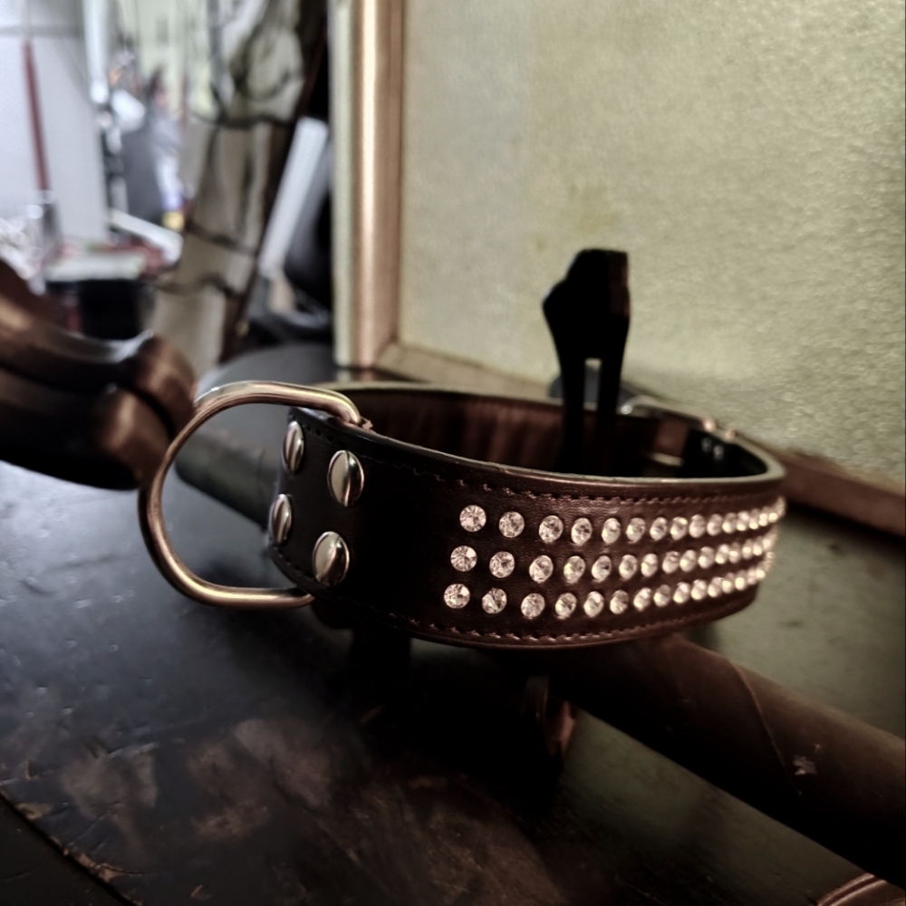 Dog collar